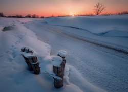 Zima, Kołki, Drzewa, Wschód słońca, Rzeka Usolka, Kraj Permski, Rosja