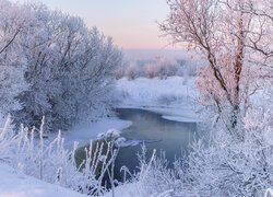Zima, Śnieg, Oszronione, Drzewa, Rzeka, Poranek