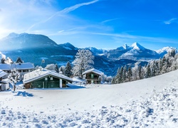 Niemcy, Berchtesgaden, Zima, Góry, Lasy, Dolina, Kurort