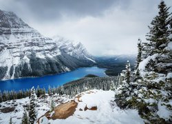 Park Narodowy Banff, Zima, Góry, Ośnieżone, Lasy, Drzewa, Jezioro, Lake Peyto, Chmury, Prowincja Alberta, Kanada