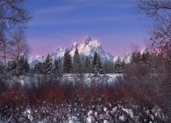 Zima, Góry, Drzewa, Park Narodowy Grand Teton, Wyoming, Stany Zjednoczone