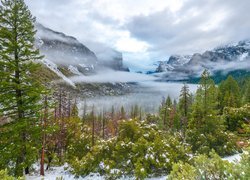 Góry Sierra Nevada, Śnieg, Drzewa, Mgła, Chmury, Park Narodowy Yosemite, Kalifornia, Stany Zjednoczone