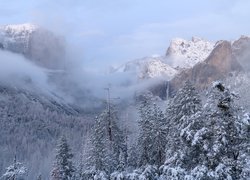 Zima, Park Narodowy Yosemite, Dolina Yosemite Valley, Drzewa, Lasy, Góry, Mgła, Stan Kalifornia, Stany Zjednoczone