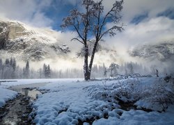 Zima, Śnieg, Góry, Rzeka, Drzewa, Góry, Mgła, Park Narodowy Yosemite, Kalifornia, Stany Zjednoczone