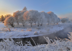 Zimowa aura nad zamgloną rzeką i oszronionymi drzewami