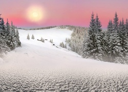 Zimowe wzgórze z ośnieżonymi drzewami w słońcu