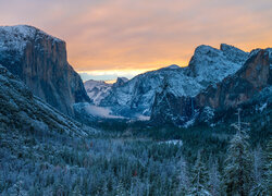 Zimowy krajobraz lasu i gór Sierra Nevada w Parku Narodowym Yosemite