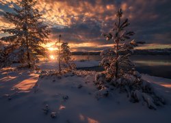 Norwegia, Ringerike, Zima, Jezioro, Drzewa, Wschód słońca, Chmury