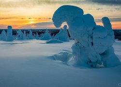 Zimowy krajobraz Parku Narodowego Riisitunturi w Laponii o zachodzie słońca