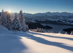 Szwajcaria, Zima, Góry, Alpy, Promienie słońca, Świerki