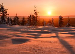 Wschód słońca, Zima, Śnieg, Drzewa, Finlandia