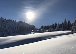 Zimowy krajobraz w słonecznym blasku