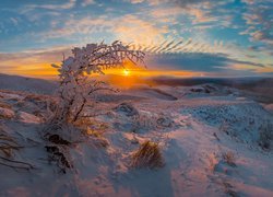 Zimowy krajobraz widoczny z góry Strizhament w Rosji
