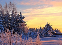 Dom, Drzewa, Wschód słońca, Zima