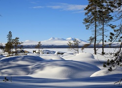 Zima, Drzewa, Śnieg, Góry