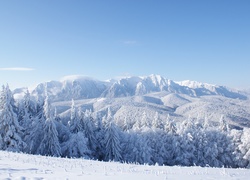 Zimowy krajobraz z lasem i górami