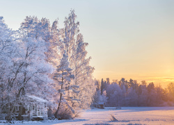 Zimowy las i polana z drewnianymi domami o zachodzie słońca