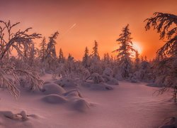 Zimowy las pod pomarańczowym niebem zachodzącego słońca