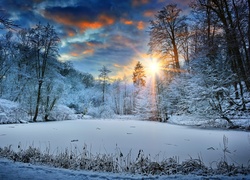 Zima, Las, Promienie słońca, Drzewa, Śnieg
