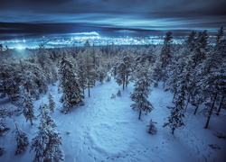 Zimowy las z sercem na śniegu