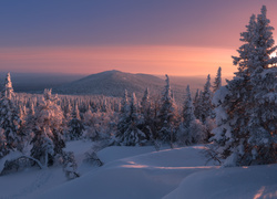Zimowy ośnieżony las i góry w blasku zachodzącego słońca