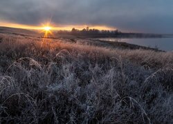 Oszronione, Trawy, Jezioro, Wschód słońca