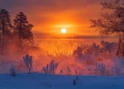 Zima, Rzeka Gwda, Mgła, Śnieg, Drzewa, Krzewy, Wschód słońca, Polska