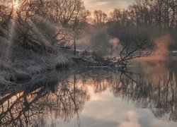 Rzeka Istra, Drzewa, Promienie słońca, Mgła, Odbicie, Obwód moskiewski, Rosja