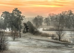 Zimowy poranek nad rzeką