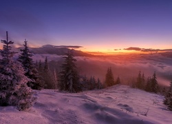 Zima, Drzewa, Góry, Mgła, Zachód słońca