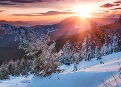 Zimowy widok na zaśnieżony las na stoku i góry w świetle zachodzącego słońca