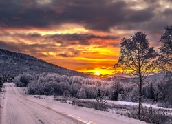 Norwegia, Wyspa Senja, Droga, Góry, Lasy, Zachód słońca, Zima,  Drzewo
