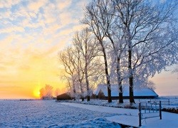 Zima, Wschód słońca, Pole, Drzewa