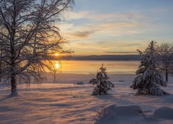 Jezioro Glafsfjorden, Zachód słońca, Drzewa, Zima, Arvika, Szwecja