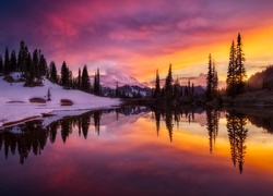 Stany Zjednoczone, Stan Waszyngton, Park Narodowy Mount Rainier, Jezioro, Zachód Słońca, Góry, Zima, Drzewa