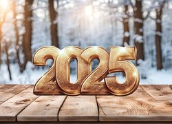 Nowy Rok, 2025, Deski, Drzewa, Śnieg