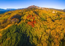 Stany Zjednoczone, Kolorado, Przełęcz, Kebler Pass, Góry, Las, Drzewa, Jesień