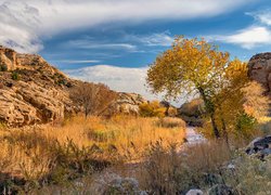 Złota jesień nad rzeką w Parku Narodowym Capitol Reef