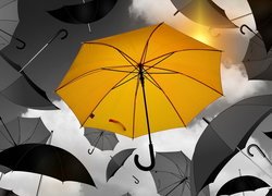 Żółta parasolka