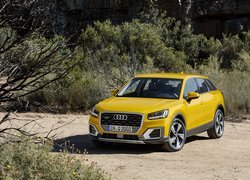 Żółte, Audi Q2, Przód