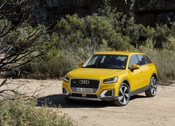 Żółte Audi Q2