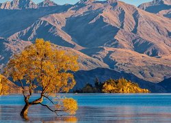 Jezioro Wanaka, Pochylone, Drzewo, Góry, Jesień, Nowa Zelandia