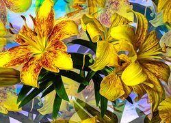 Żółte, Kwiaty, Lilie, Grafika