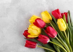 Żółte i czerwone tulipany na jasnym tle