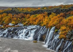 Jesień, Żółte, Krzewy, Skały, Wodospad Hraunfossar, Islandia