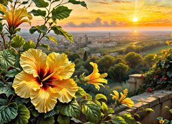 Hibiskus, Kwiaty, Widok, Zachód słońca, Grafika