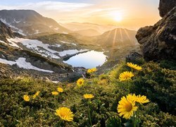 Żółte kwiaty na tle gór i jeziora w promieniach słońca