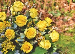 Żółte róże z baziami