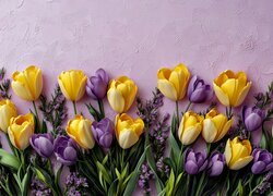 Kwiaty, Tulipany, Krokusy, Ściana, Grafika
