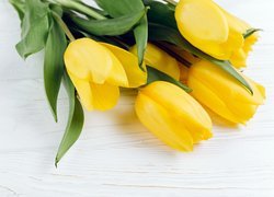 Żółte tulipany na jasnym tle